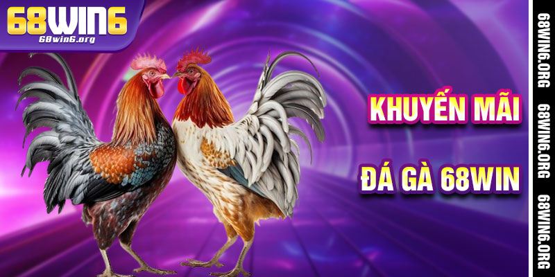 Đá Gà 68win - Kho Báu Ưu Đãi Hào Phóng