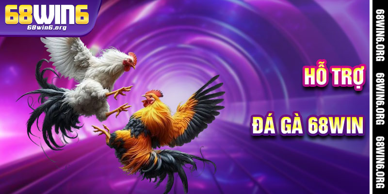Đá Gà 68win - Hỗ Trợ Tận Tâm Đồng Hành
