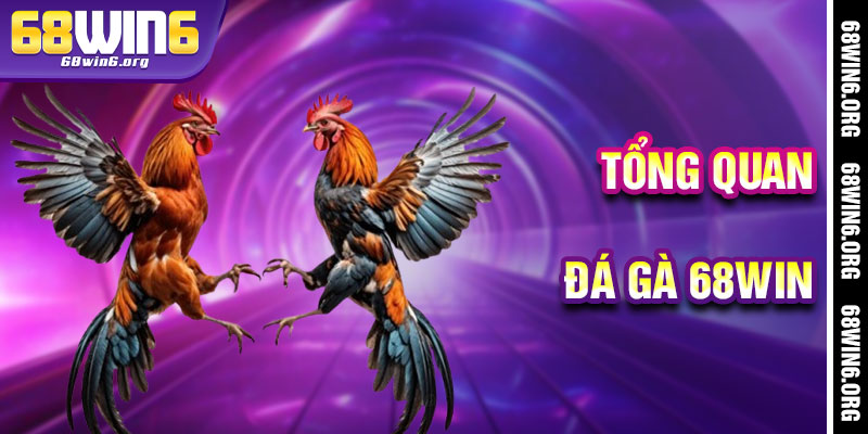 Đá Gà 68win - Cánh Cửa Thần Tiên Dẫn Lối